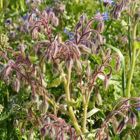 4 Star In Dom wakacyjny *