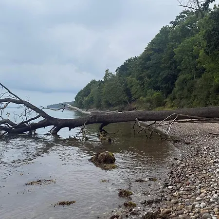 4 Star In * Hornsyld