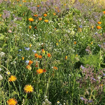 4 Star In Dom wakacyjny Hornsyld